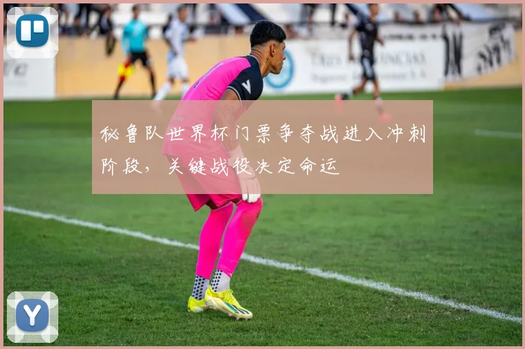 秘鲁队世界杯门票争夺战进入冲刺阶段，关键战役决定命运 - 500彩票网官方精选